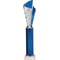 Flash Plastic Trophy