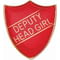 Scholar Pin Badge Deputy Head Girl