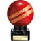 Valiant Legend Cricket Award