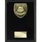 Cobra Plaque Most Improved Player Award Epic