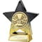 Superstar Recognition Award Black & Gold