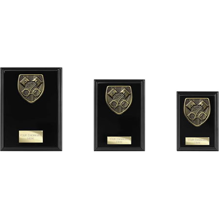 Cobra Plaque Motorsport Piston Award Epic