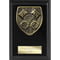 Cobra Plaque Motorsport Piston Award Epic