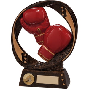 Typhoon Boxing Award 170mm