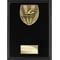 Cobra Plaque Swimming Award Epic