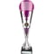 Eclectic Trophy Silver & Purple