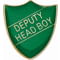 Scholar Pin Badge Deputy Head Boy