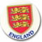 England Lions 25mm