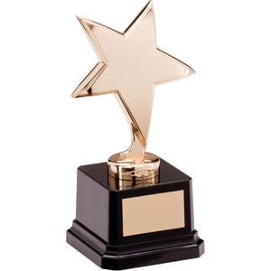 The Challenger Star Award