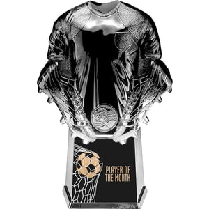 Invincible Shirt Player of Month Black 220mm