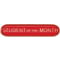 Scholar Bar Badge Student of Month