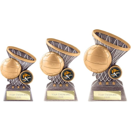 Smash Netball Award Antique Silver & Gold 160mm