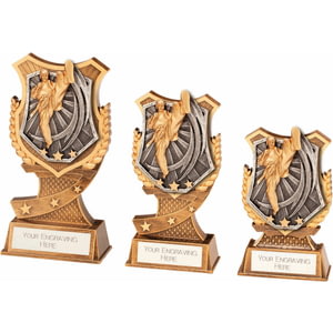 Titan Karate Award