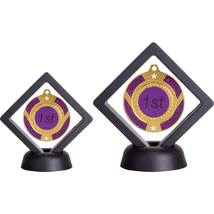 Vision Medal Box & Stand Takes up to