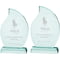Synergy Jade Glass Award