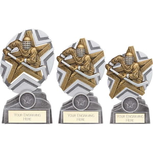 The Stars Ice Hockey Plaque Award Silver & Gold