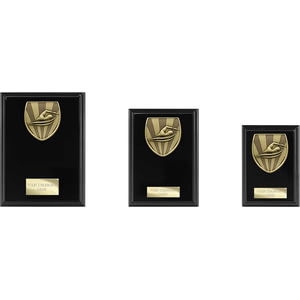 Cobra Plaque Swimming Award Epic