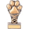 Falcon Dog Paw Award