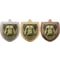 Cobra Martial Arts Gee Shield Medal