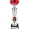 Energy Trophy Red & Silver