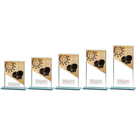 Mustang Boxing Glass Award