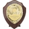 Reward Shield & Front Cracked Cherry &