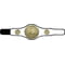 Champion Belt Multisport Award