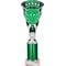 Cobra Star Multisport Tube Trophy Silver & Green