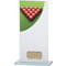 Colour Curve Snooker Glass Award