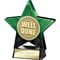 Superstar Well Done Award Green & Black
