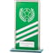 Talisman Multisport Mirror Glass Award Green & Silver