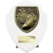 Cobra Shield Running Award Arctic
