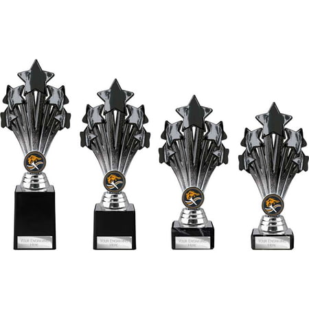 5 Star Trophy Black and Silver