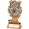 Titan Athletics Award
