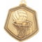 Falcon Netball Medal