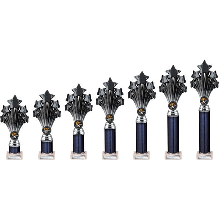 5 Star Multisport Tube Trophy Black & Silver