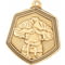 Falcon Martial Arts Medal