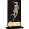 Euphoria Hero Netball Glass Award Jet