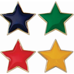 Scholar Pin Badge Star