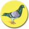 Birds-Pigeon Sitting 25mm