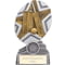 The Stars Cricket Plaque Award Silver & Gold