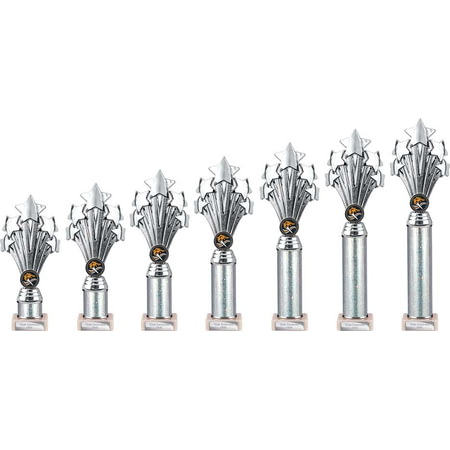 5 Star Multisport Tube Trophy