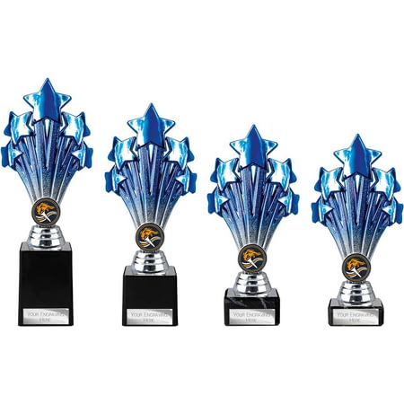 5 Star Trophy Blue and Silver