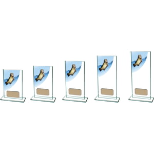 Colour Curve Angling Glass Award