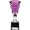 Cobra Star Multisport Cup Silver & Purple