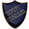 Scholar Pin Badge Deputy Head Girl