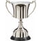 The Maplegrove Nickel Plated Cup