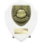 Cobra Shield Managers Player Award Arctic
