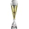 Eclectic Trophy Gold & Silver