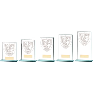 Millennium Equestrian Glass Award